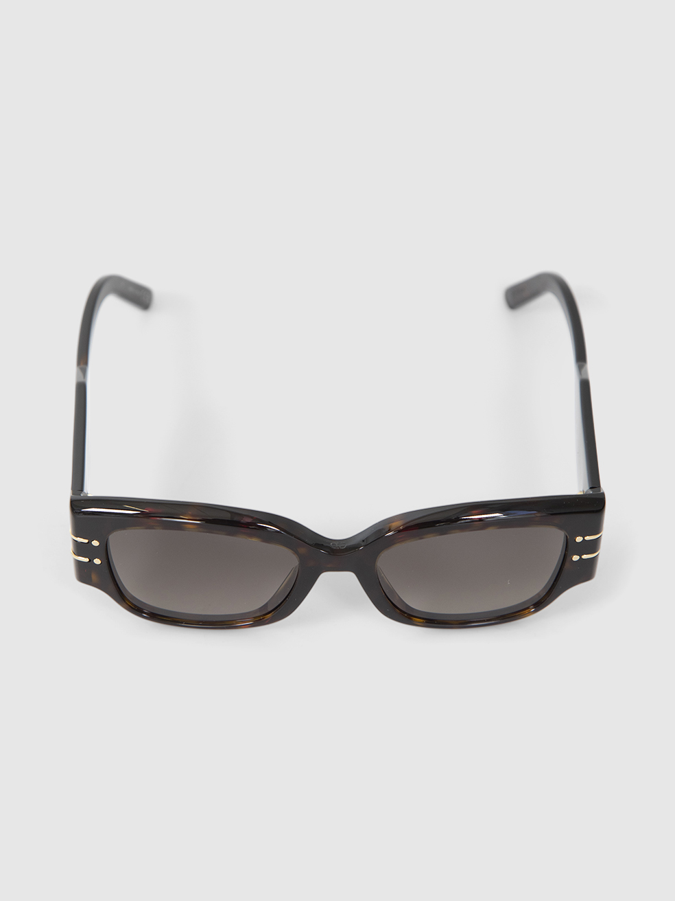 Dior Havava DiorSignature S13I Sunglasses